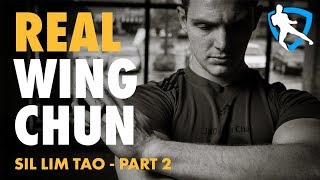 Wing Chun Applications - Sil Lim Tao Part 2