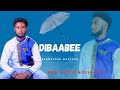 ALEMAYEHU BAYECHA -DIBAABEE New Ethiopian Oromo Music Video 2024(Official Video)