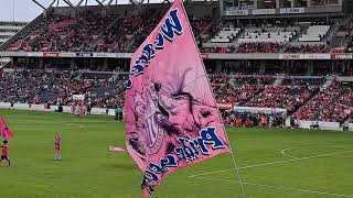 2023年4月29日 セレッソ大阪vsサンフレッチェ広島戦 両チーム入場 #セレッソ大阪 #cerezo #サンフレッチェ広島 #sanfrecce #ヨドコウ桜スタジアム