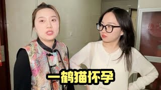 出差回来发现家猫疑似怀孕，三姐妹赶紧带去医院检查