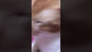 Gif He Help Wife Enjoy
