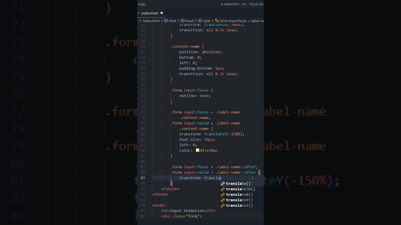 How To Make Input Animation | HTML CSS - YouTube