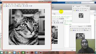 image digitization (sampling and quantization) by using mathlab