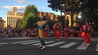 The longest parade - Morioka Sansa Odori 日本東北祭 - 盛岡三颯舞(盛岡さんさ踊り) 2017