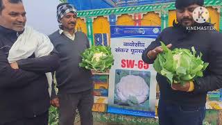 Shriram Bioseed genetics Cauliflower sw65 District Meerut Village Narhada