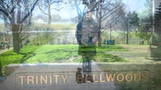 The Roots of Trinity Bellwoods
