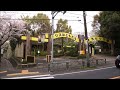 新東京百景薬師池公園の桜2016