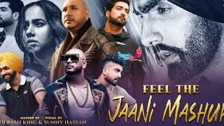Feel The Jaani Mashup 2023 : B Praak X Ammy Virk X Sunanda Sharma | DJ Rash King & Sunny Hassan