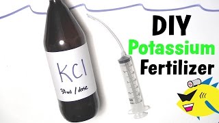 How To Make: DIY Aquarium Plant Fertilizer (Potassium)