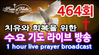 464회-테힐라TV수요치유기도방송 (밤9시30분에 시작합니다)