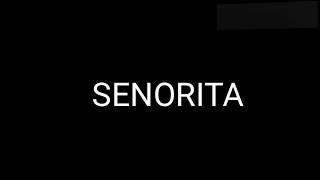 SENORITA official LYRICS  Shawn Mendes ft Camila Cabello