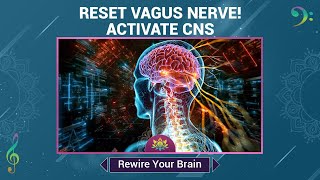 Reset Your Vagus Nerve - Activate Central Nervous System (CNS) - Rewire Your Brain - Music Therapy