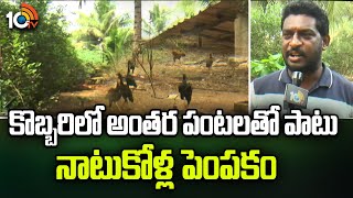 Naatu Kollu Pempakam | కొబ్బరిలో అంతర పంటలతో పాటు నాటుకోళ్ల పెంపకం | Matti Manishi | 10TV