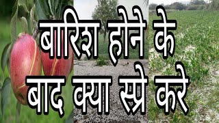 बारिश होने के बाद क्या स्प्रे करे|Ke Baad Kya Spray Kare