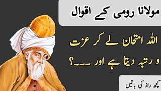 Zindagi Ko Amanat Jano | Molana Rumi Quotes | Aqwal E Zareen In Urdu | Urdu Qoutes | Aqwal