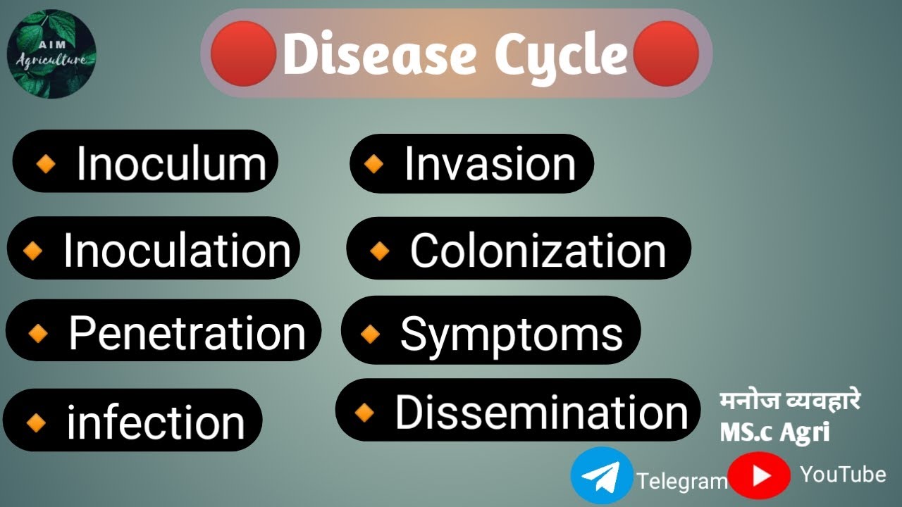 Disease Cycle In Plant Pathology - YouTube