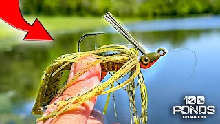 Fishing My Favorite Lure For Spring Pond Bass! (Bed Fishing With Jigs)