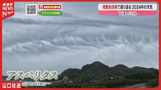 奇跡の空と天気の物語｜視聴者投稿で振り返る2024年！天気のミカタ