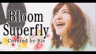 Bloom / Superfly 『ゼクシィ』25周年テーマソング「“愛を、祝おう。”」カバー♪ 歌ってみた♪