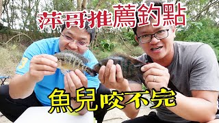 美食獵人六 萍哥來助陣 超兇狂咬餌的PK釣魚之戰 做成紅燒魚超好吃 八線火口 珍珠石斑