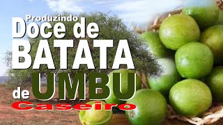 PRODUZINDO DOCE DE BATATA DE UMBU CASEIRO.