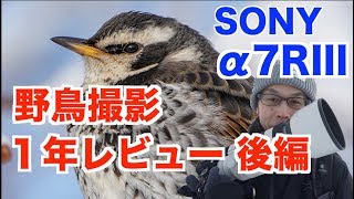 【SONY α7RIII】野鳥撮影に１年使ったみたので機材レビューするよ【後編】