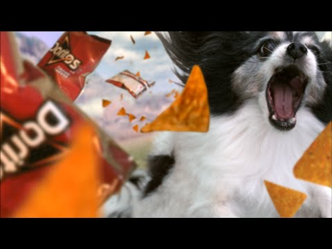 Dog Dreams - 2015 Doritos Crash The Super Bowl Banned Winner - YouTube