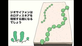 地球の歴史その３　地球最初の静かな静かな４０億年