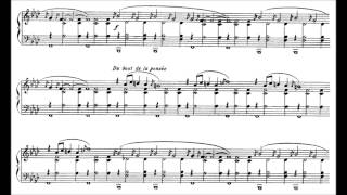 Erik Satie - Gnossienne n°1 (Score)