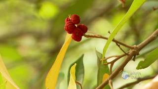 LAKHARI Wildlife Sanctuary