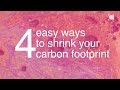 X EXPLAINED: 4 easy ways to shrink your carbon footprint