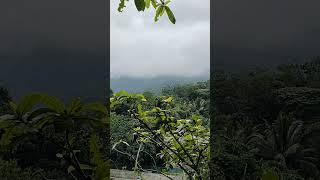 Kallar Meenmutty Waterfalls |The kallar | Meenmutty river water | Ponmudi