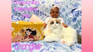 My first product review unboxing of realistic interactive companion pet by Chong