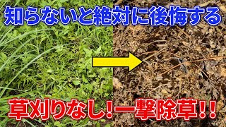 【家庭菜園向け】草刈りなし！一撃で雑草をなくす方法【材料3つだけ】