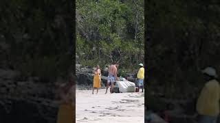 Taylor Swift and Travis Kelce seen kissing in bathing suits on PDA-packed Bahamas vacation #shorts