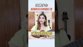 毕业季，一首《凤凰花开的路口》泪崩了！ | 小小凤尤克里里 🎸