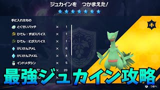 【ソロ攻略】雑談しながら最強ジュカイン攻略【ポケモンSV】