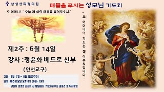 삼성산피정의집  매듭을 푸시는 성모님 기도회 (2주차 정윤화 베드로 신부)