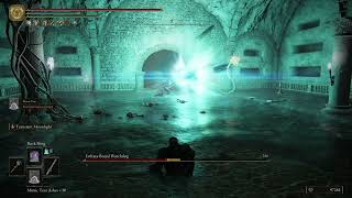 THIS SUMMON IS A MUST HAVE!!! - Elden Ring