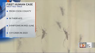 IDPH reports Illinois' first human case of West Nile in 2024