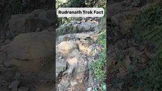 Rudranath Trek Fact #shorts #rudranath #trek #facts #shortsviral