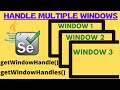 Handling Multiple Windows in Selenium || How to Handle Multiple Windows in Selenium || Window Handle