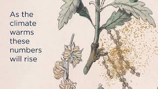 How 30,000 Detroit trees bloomed into a better way for researchers to predict airborne pollen