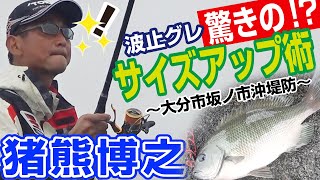 種明かしはこの考え方！　堤防からのグレ釣り攻略法！　猪熊博之インストラクターが釣りまくる！