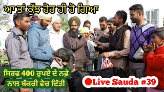 ਸਿਰਫ 400 ਰੁਪਏ ਦੀ ਕਮਾਈ ਬੱਕਰੀ ਵਿੱਚੋਂ || Maulviwala Bakra Mandi ||@ILTILANATV