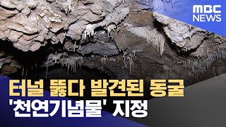 터널 뚫다 발견된 동굴 '천연기념물' 지정 (2024.02.26/뉴스데스크/원주MBC)