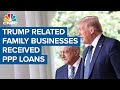 Family businesses associated with Donald Trump officials received small business loans