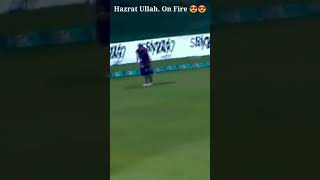 Hazratullah Zazai Brilliant Batting | Peshawar Zalmi Vs Karachi Kings #Shorts