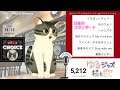 ゆるジャズ ねこ喫茶 初見様リクエスト一曲どうぞ♪ プロシンガー jazz soul bossa vocal radio bgm chill cat