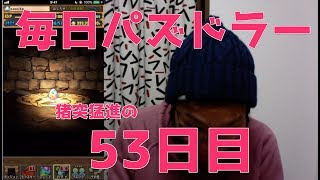 【パズドラ】日々是闘技場#53【日没】